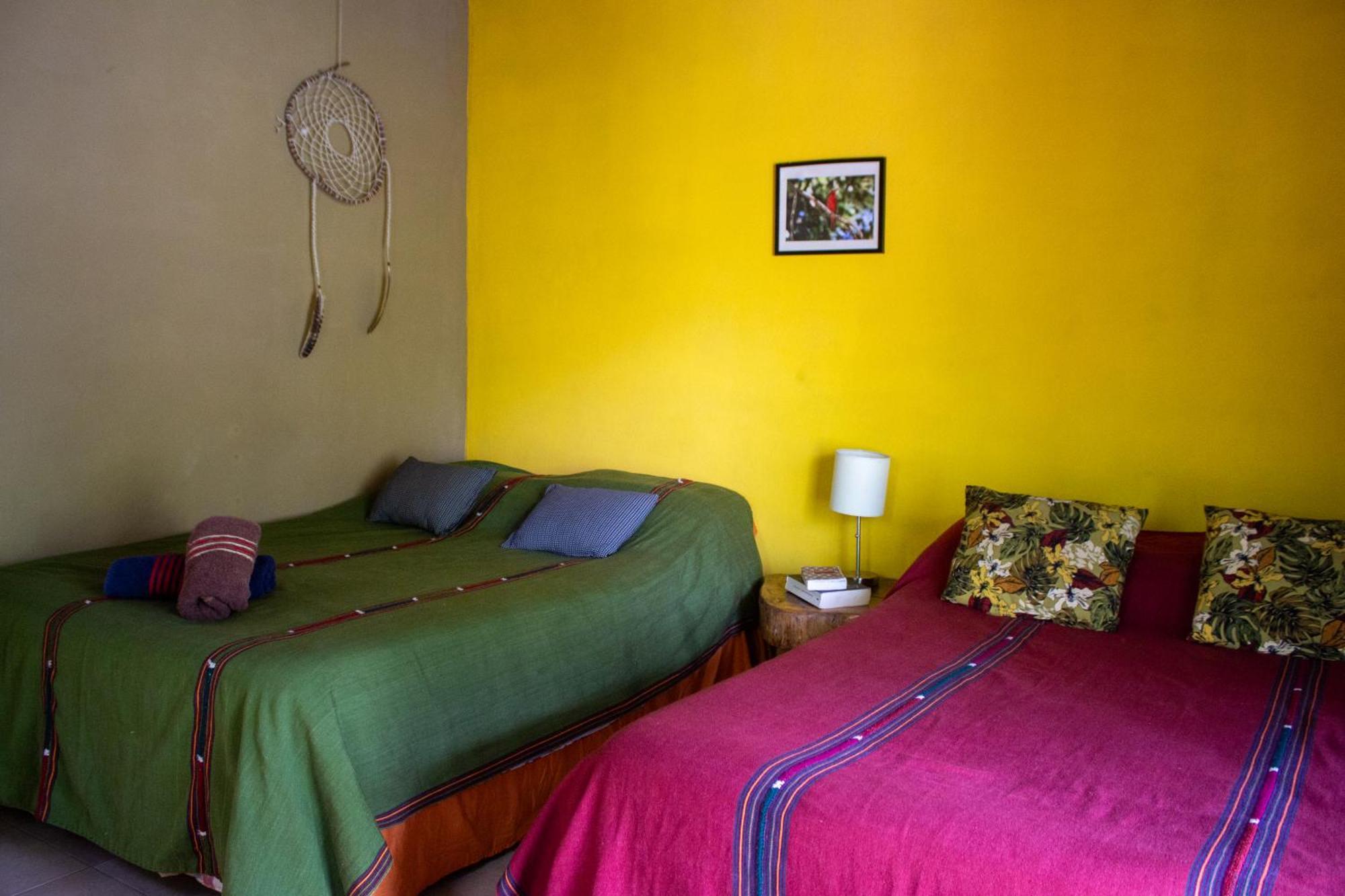 Alice Guesthouse El Remate Eksteriør billede